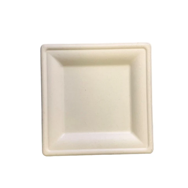 Chartland - 8" - Bagasse Light Brown Square Plate - 1000ct/CS