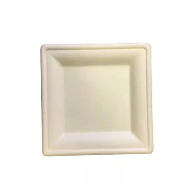 Chartland-8"-Bagasse Light Brown Square Plate - 20X50 CT