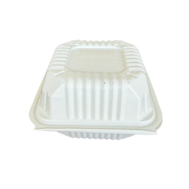 GM-EP61 - Plastic Shell Box With Lid Smart Lock-6"X6" - 250CT/CS