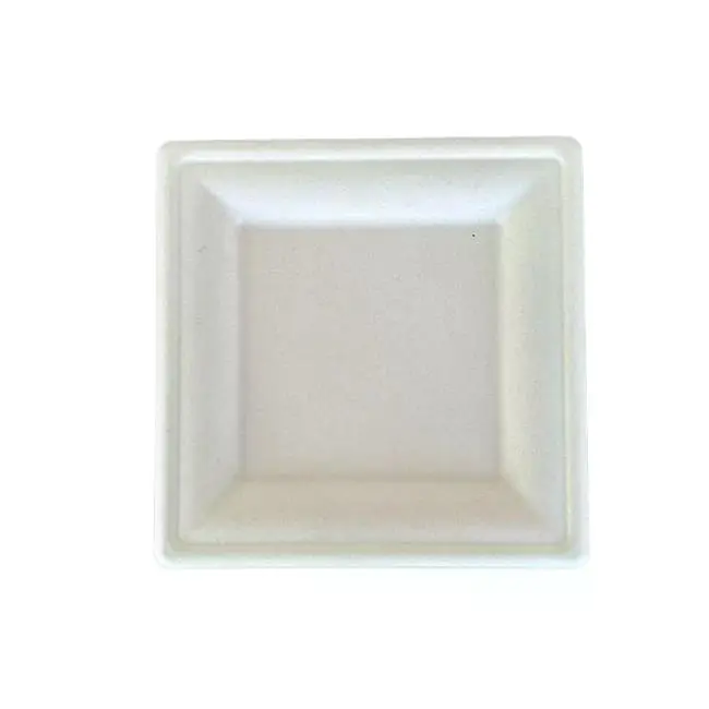 Chartland-6"-Bagasse Square Plate - 20X50 CT