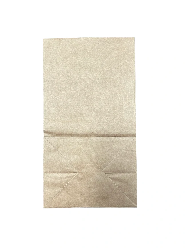 LR - Heavy Duty Kraft Paper Bag #25 - 500 CT/CS