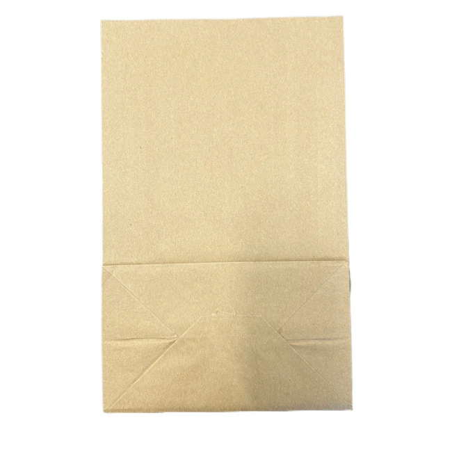 Kraft Paper Poly bag DD50 9.75"X6"X16" - 500 CT/CS