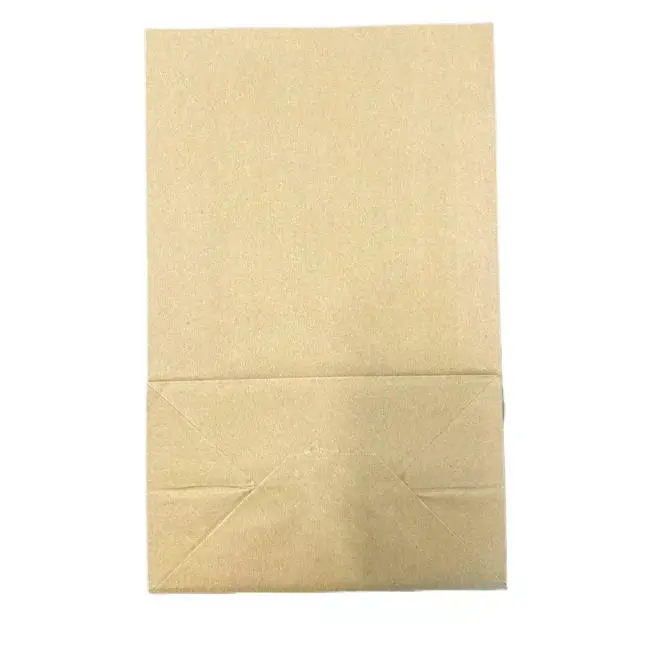 Kraft Paper Poly bag NO.20 - 500 CT/CS